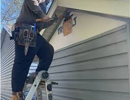 Best Historical Building Siding Restoration  in Roebling, NJ